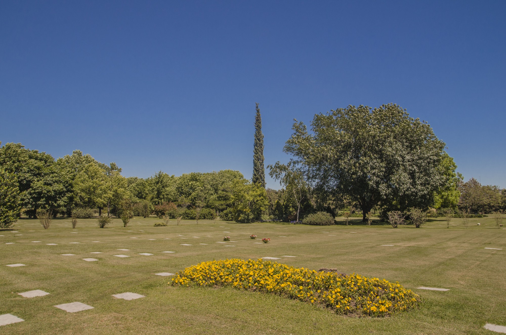Parcelas Básica Jardín de Paz