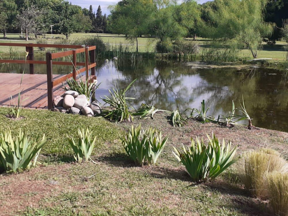 Espacio Cenizas del Lago Oeste