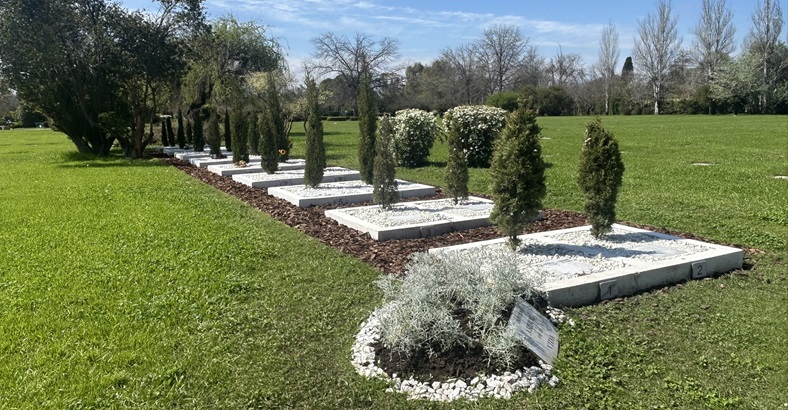 Espacio Árbol de vida JDP