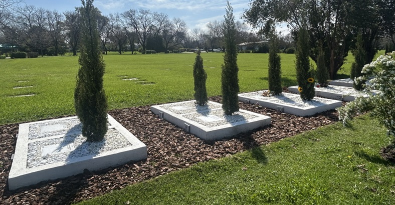 Espacio Árbol de vida JDP