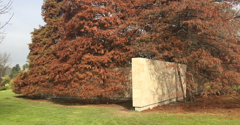 Cenizas del Bosque Jardin de Paz