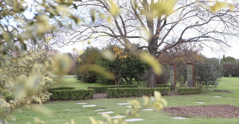 Espacio Cenizas Ecológico