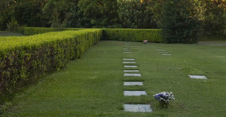 Parcela Clásica Memorial