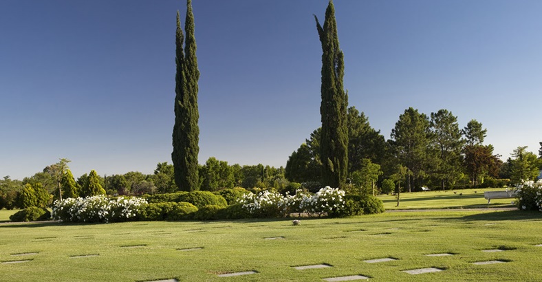 Parcela Clásica Memorial