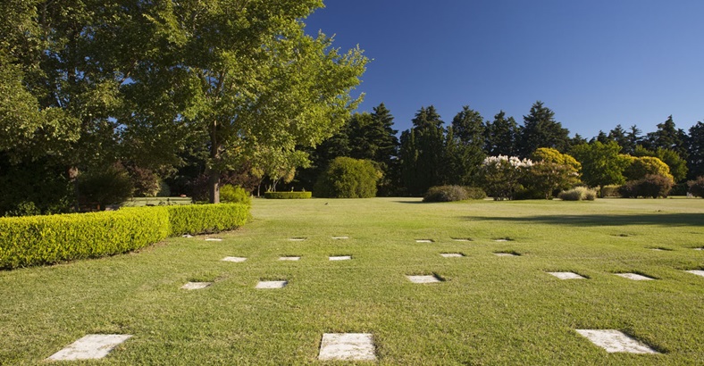 Parcela Standard Campanario