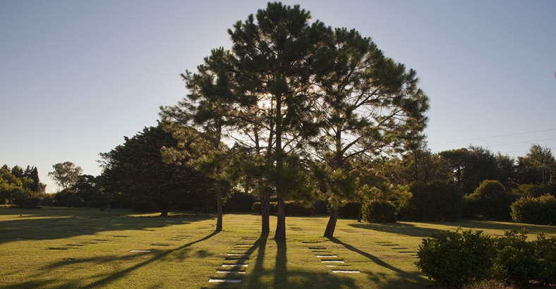 Parcela Temporal Campanario