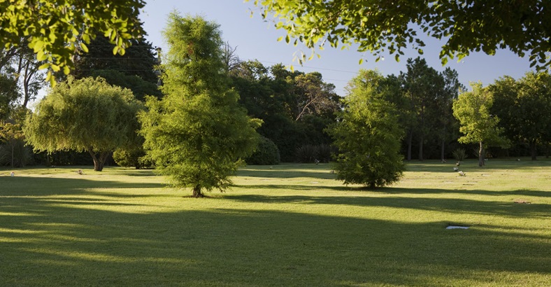 Parcela Temporal Campanario