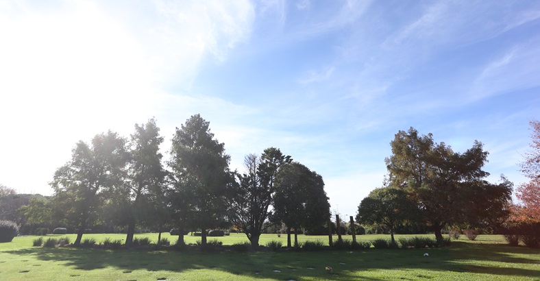 Espacio Cenizas Ecológico Campanario