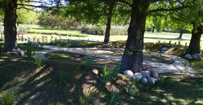 Espacio Cenizas del Bosque