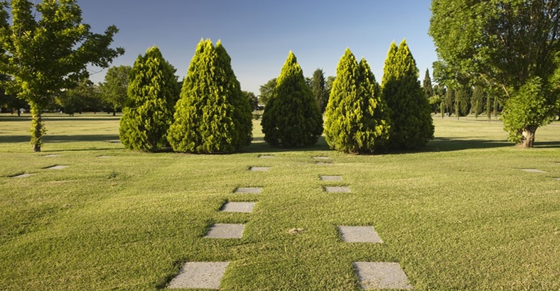 Servicio Funerario con Parcela