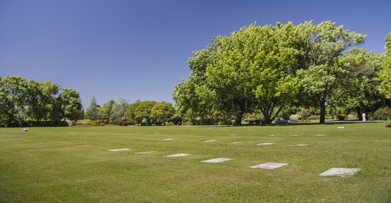 Parcela Temporal Jardín de Paz