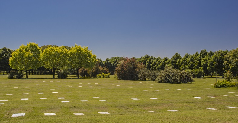 Parcela Temporal Jardín de Paz