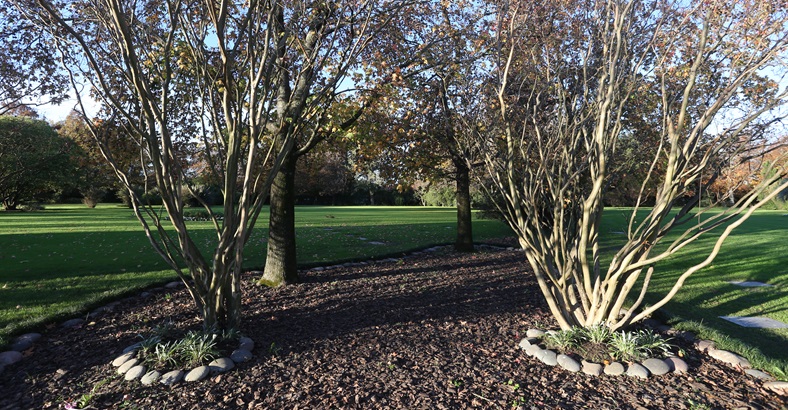 Espacio Cenizas Ecológico Gloriam