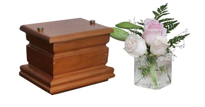 Urna Canciller Angelito