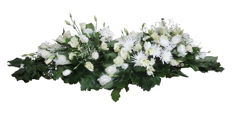 Servicio Premium Lyon