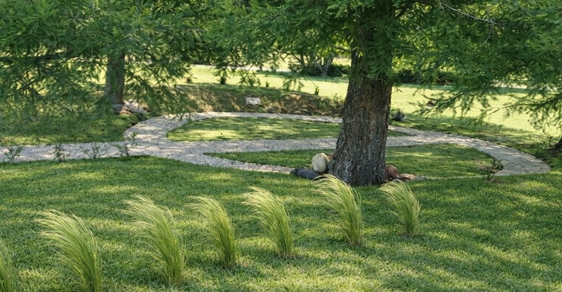 Espacio Cenizas del Bosque