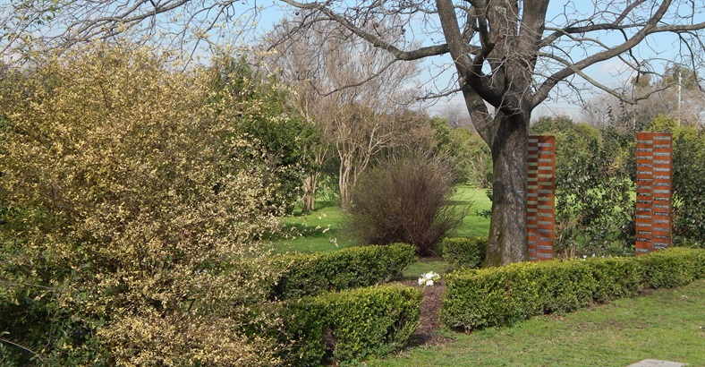 Espacio Cenizas Ecológico