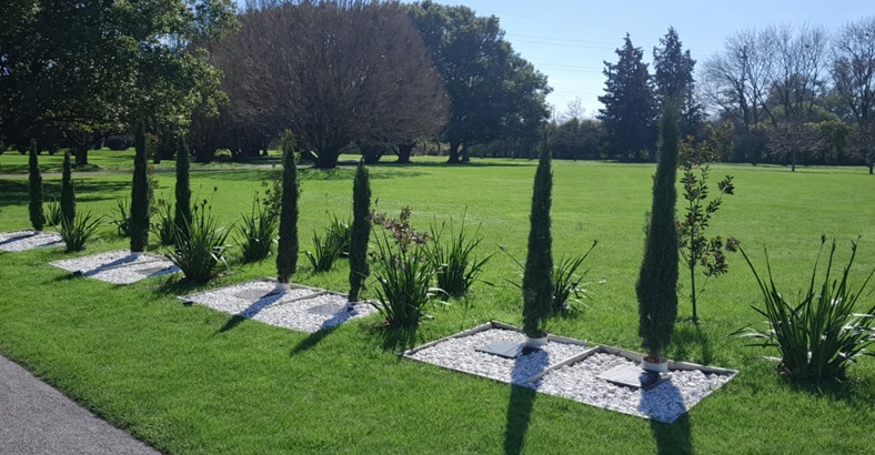 Espacio Árbol de vida Oeste