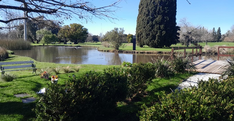 Espacio Cenizas del Bosque