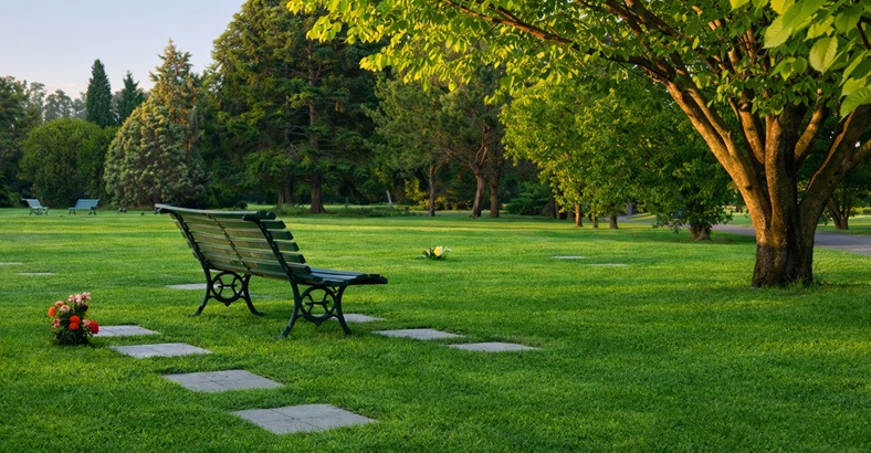 Parcela Tradicional Gloriam