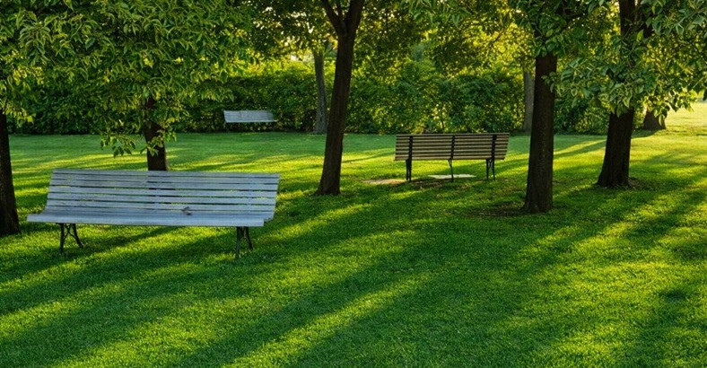 Parcela Temporal Gloriam