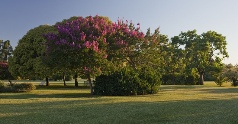 Parcela Exclusiva Gloriam