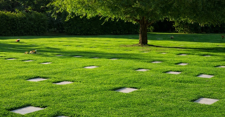 Parcela Temporal Oeste