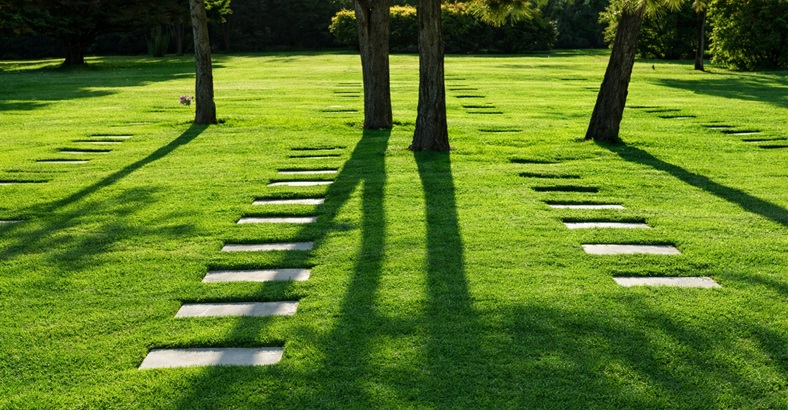 Parcela Clásica Campanario