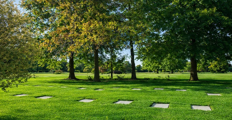 Parcela Clásica Campanario