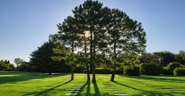 Parcela Temporal Campanario