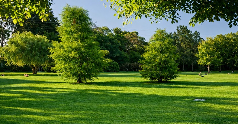 Parcela Temporal Campanario