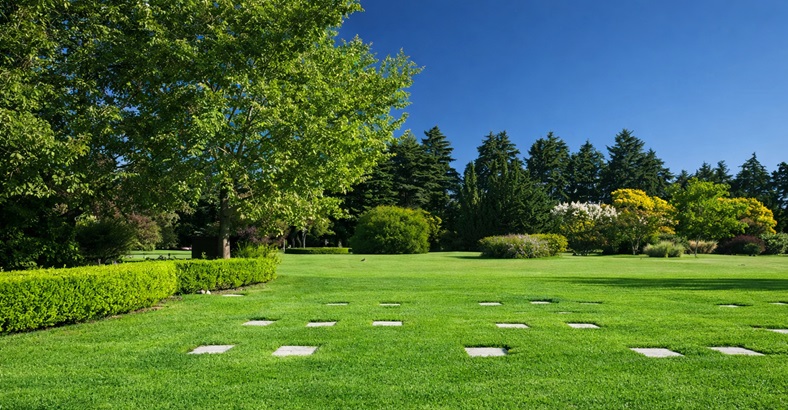 Parcela Tradicional Campanario