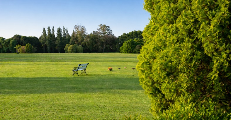 Parcela Tradicional Oeste
