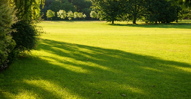 Parcela Tradicional Oeste