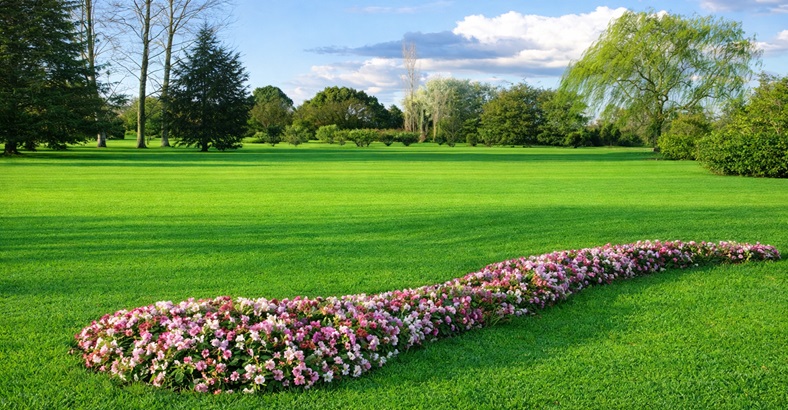 Parcela Clásica Oeste