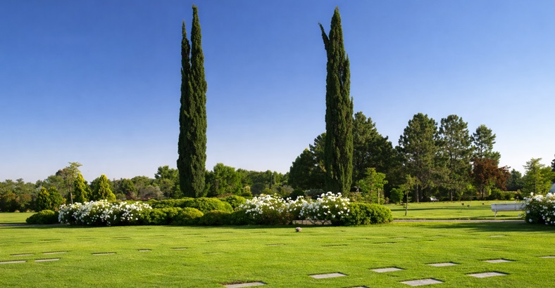 Parcela Clásica Memorial