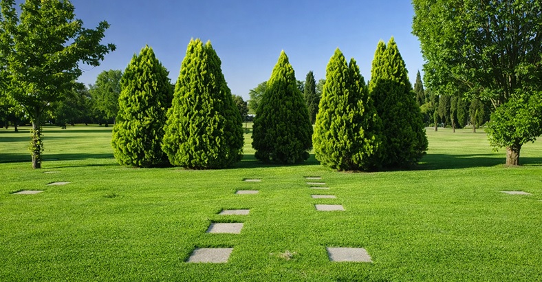 Parcela Temporal Memorial
