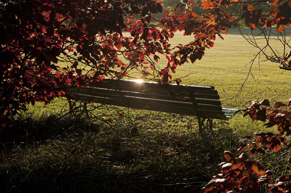 Banco Parque Gloriam