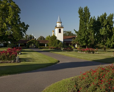 Cementerios Parque