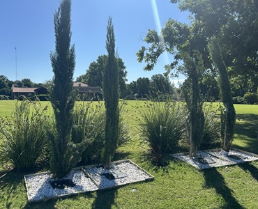 Espacio Árbol de vida Oeste