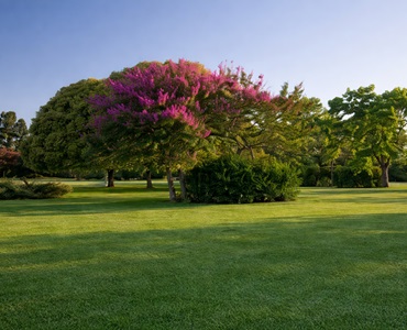Parcela Tradicional Gloriam