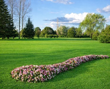 Parcela Clásica Oeste