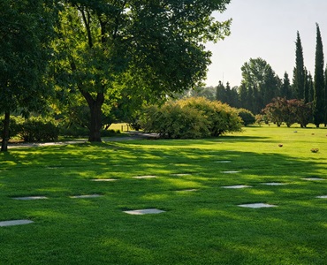 Parcela Clásica Gloriam