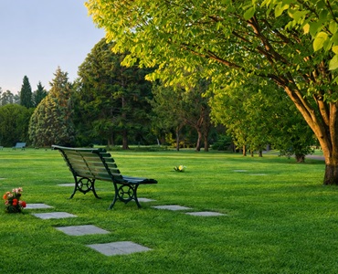 Parcela Temporal Gloriam