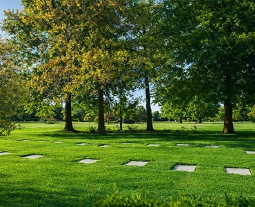 Parcela Clásica Campanario