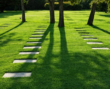 Parcela Temporal Campanario